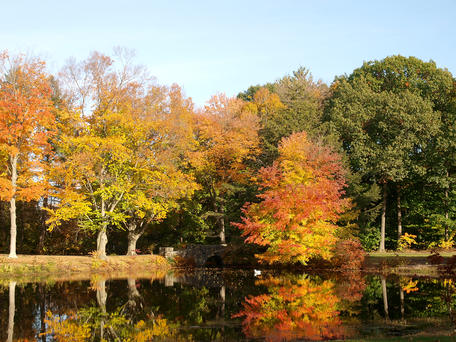 Andover cemetary in fall