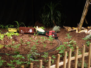 Flower show train