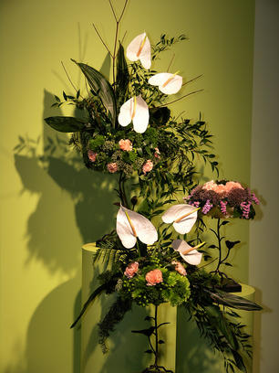 Floral display #19