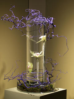 Floral display #21