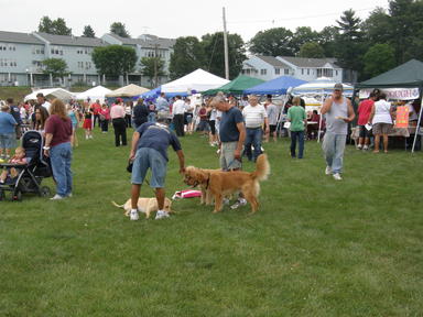 Let my dog meet your dogs