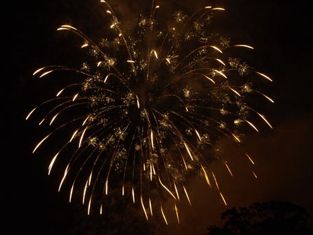 Fireworks #24