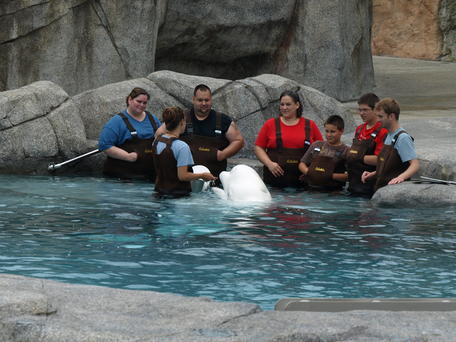 Whale encounter group