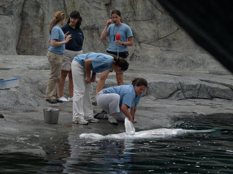 Ok, turn on your right side