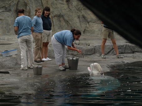 Mmmmm, I love fish! #2