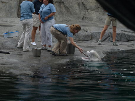 Mmmmm, I love fish! #3