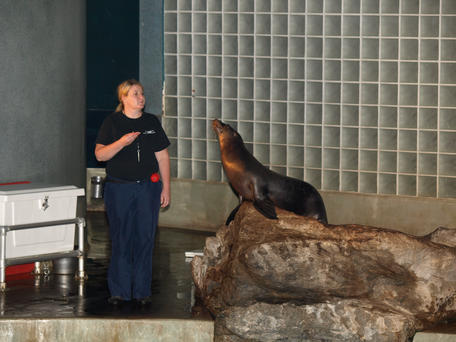 I'm the star of the show