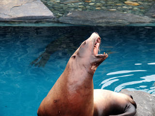 I could use a toothbrush