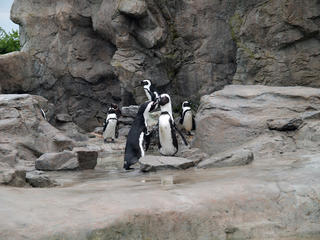 What did you call me?