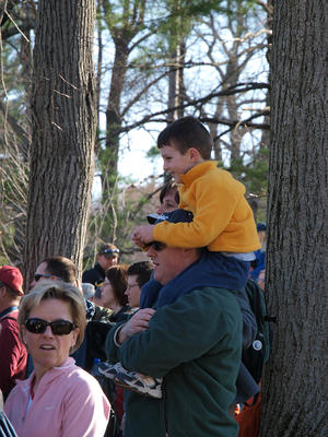 Best seat in the house