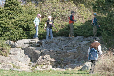 Queen of the rock pile