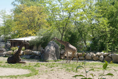 I'll come over to chat