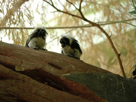 So what's the latest gossip?