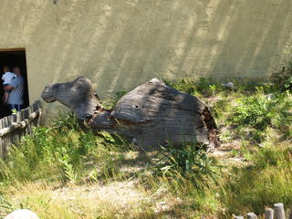 Camel sculpture #2