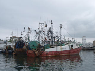 Fishing boats