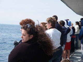 Whale watchers