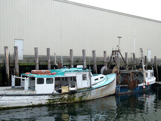 Old boats