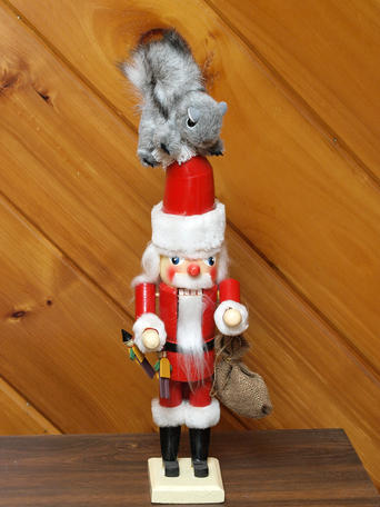 Please crack me some nuts! #2