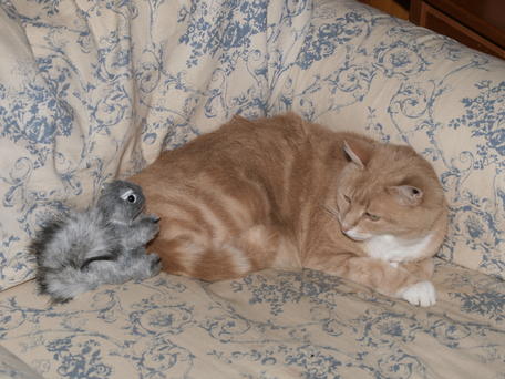 What are you doing here?