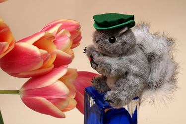 Flower photographer #2