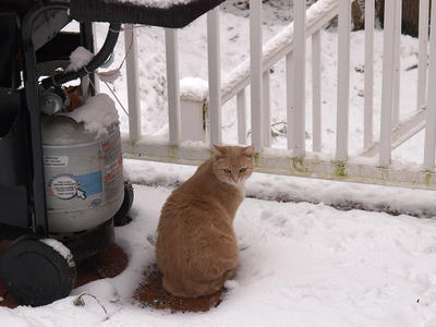 What are you looking at?