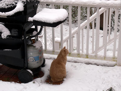 More winter, sigh....