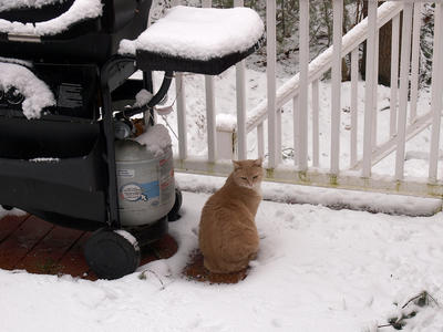 Do you like my snow roof?