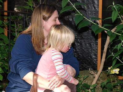 Look at the butterfly