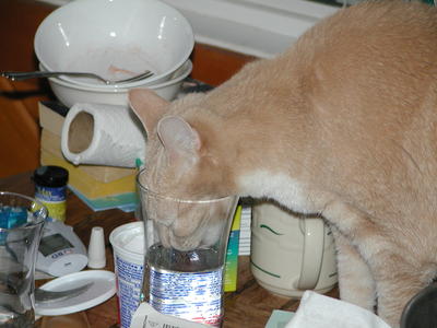Mmmm, water!