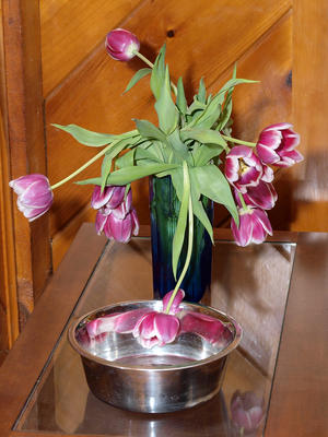 Water, I need water....