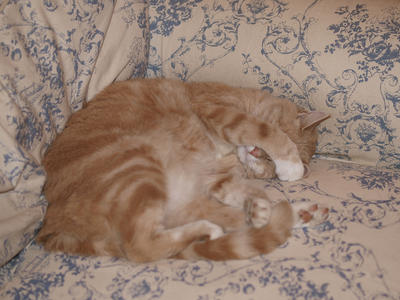 No more pictures, please