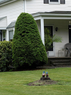 House gnomes