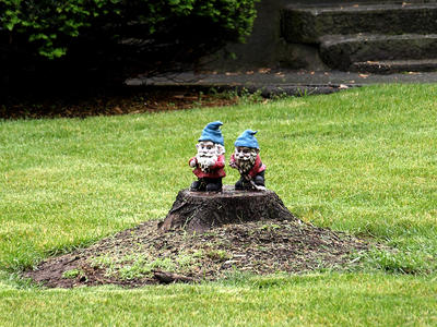 House gnomes #2