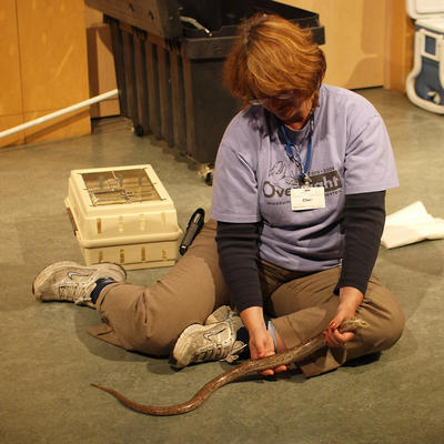 Critters on display #3