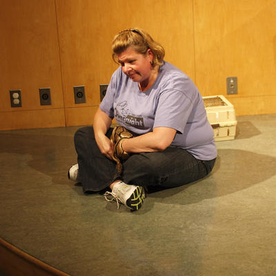 Critters on display #4