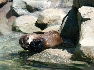 I'll find the food in here