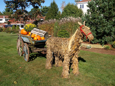 Straw donkey