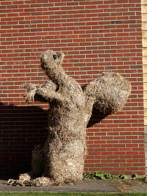 Straw squirrel