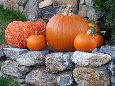 Pumpkins