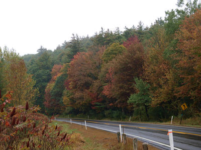 Massachusetts fall #2