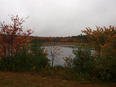 Massachusetts fall #4