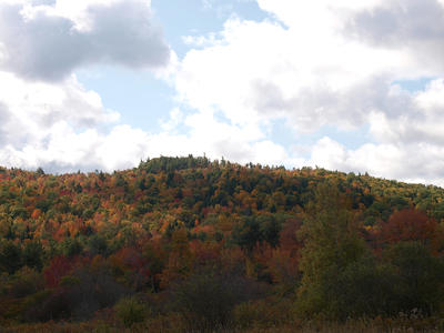 New Hampshire fall #8