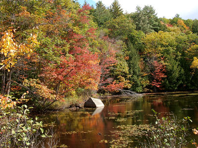 New Hampshire fall #10