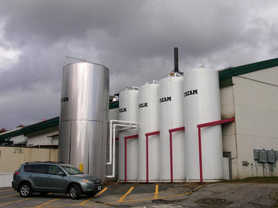 Ice cream ingredients