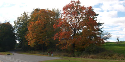 Fall in Massachusetts #2
