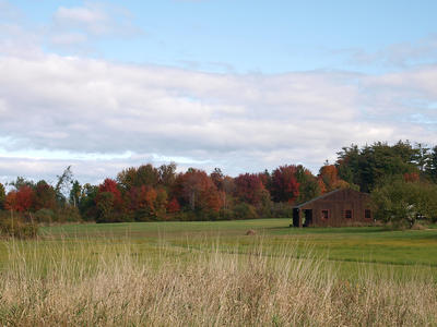 Fall in Massachusetts #3