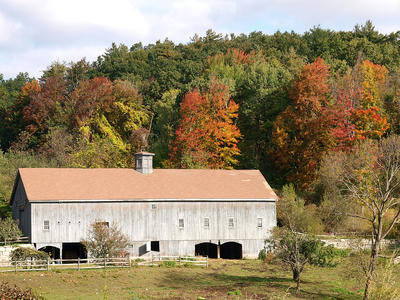 Fall in Massachusetts #4