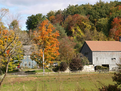 Fall in Massachusetts #5