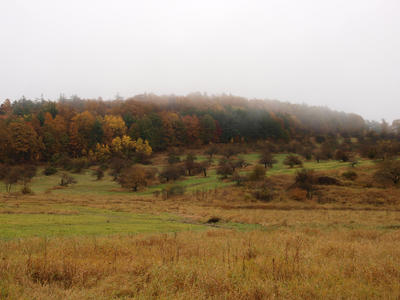 Fall and fog in Groton