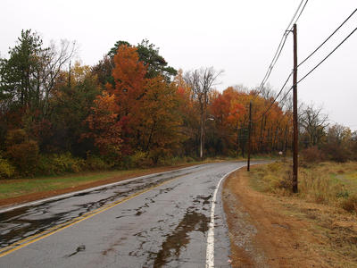 Fall road